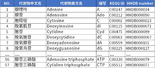 检测项目核苷酸及相关代谢物 LC-MSMS 靶向定量检测_3.jpg
