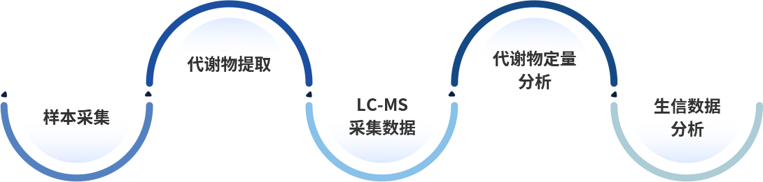 检测流程-代谢物提取.png