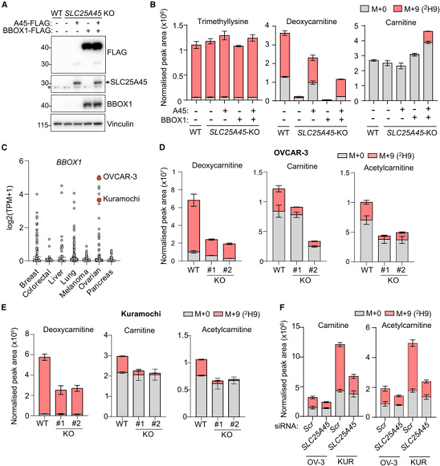 微信图片_2026-03-11_113042_610.png 微信图片_2026-03-11_113042_610.png