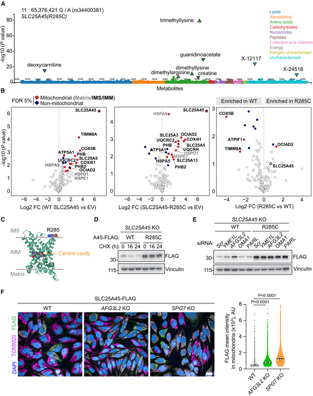 微信图片_2026-03-11_112826_393.png 微信图片_2026-03-11_112826_393.png
