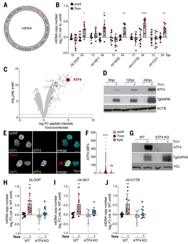 微信图片_2026-03-11_111513_705.jpg 微信图片_2026-03-11_111513_705.jpg