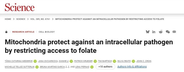 微信图片_2026-03-11_110615_593.jpg 微信图片_2026-03-11_110615_593.jpg