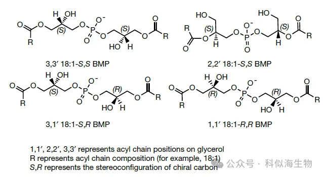 图片1.png.jpg 图片1.png.jpg
