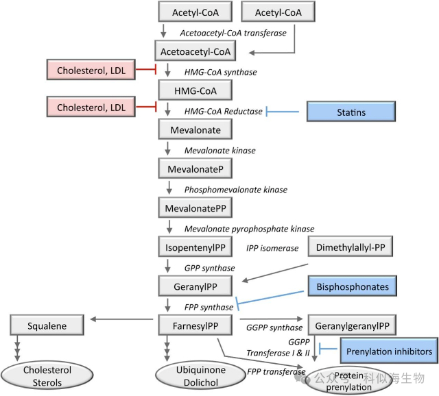 配图1.jpg 配图1.jpg