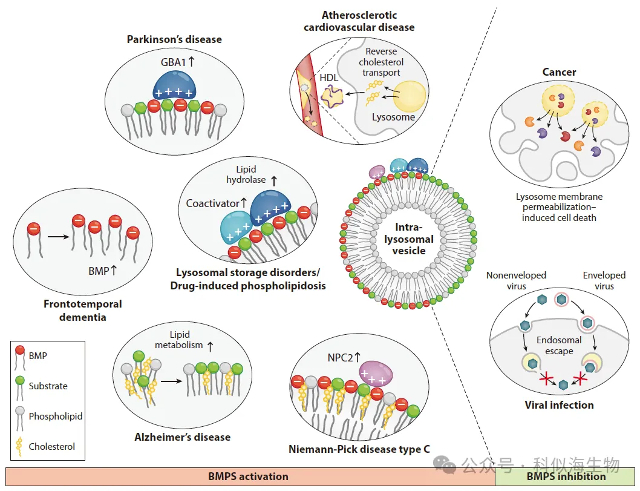 图片2.png.jpg 图片2.png.jpg