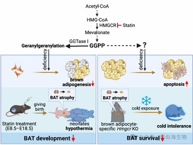 配图3.jpg 配图3.jpg