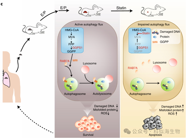 配图2.jpg 配图2.jpg