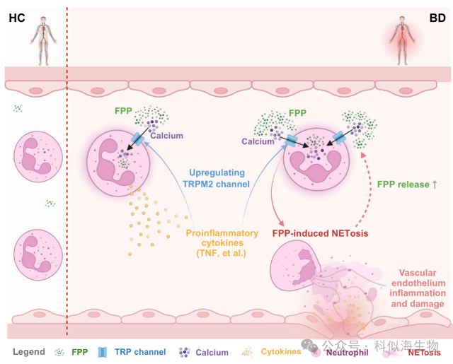 配图4.jpg 配图4.jpg