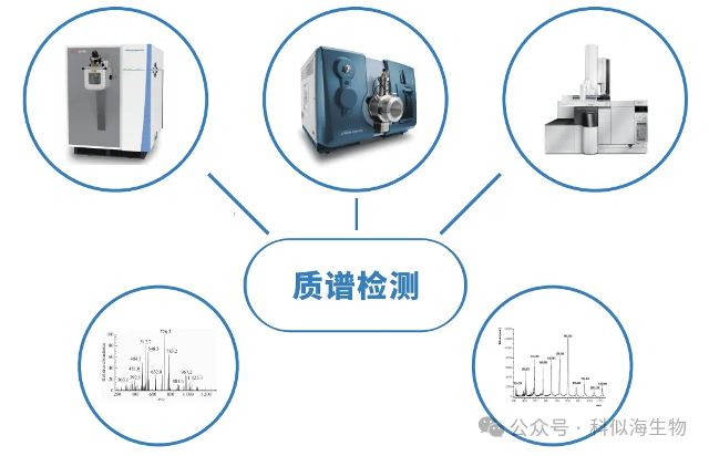 从原理到应用：科似海生物带你揭秘质谱检测_5.jpg
