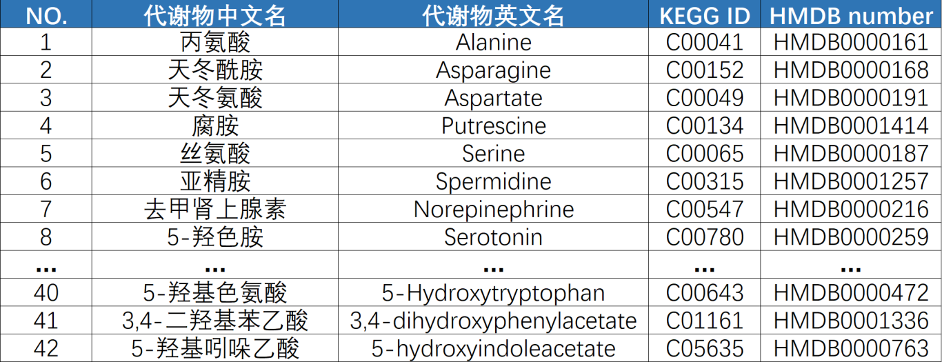 神经递质02.png